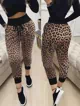 Leopar